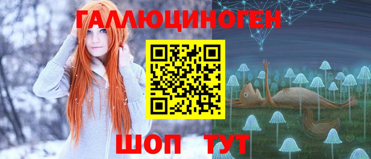 Псилоцибиновые грибы Psilocybe  Вход с VPN  Ялуторовск 