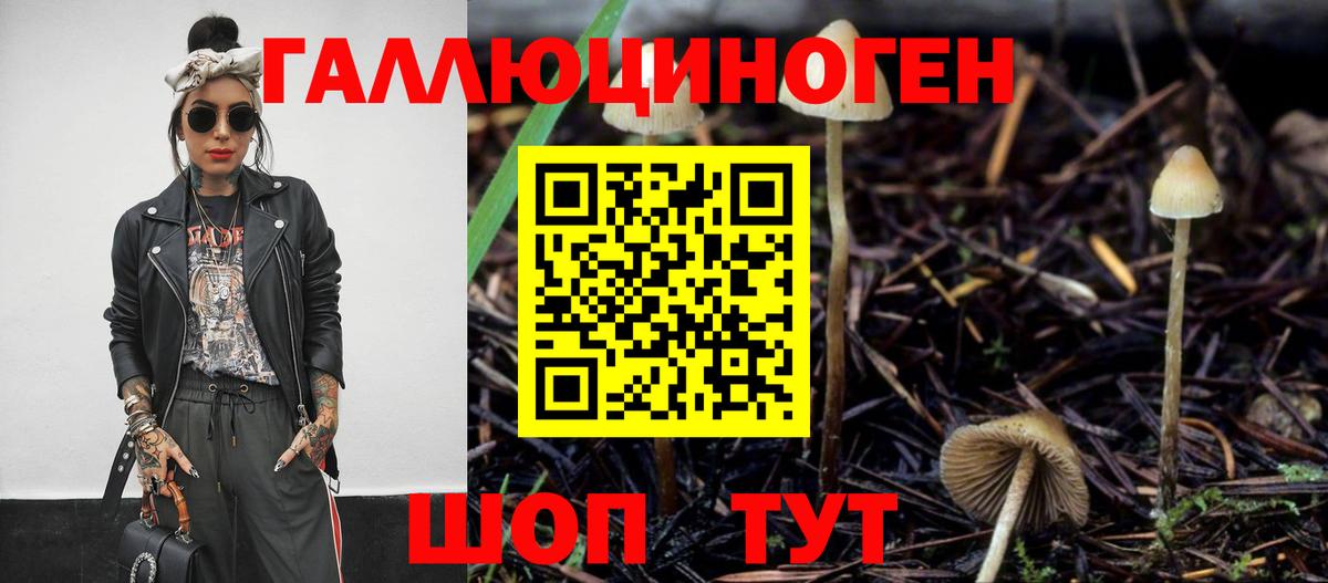 Псилоцибиновые грибы мицелий Ялуторовск